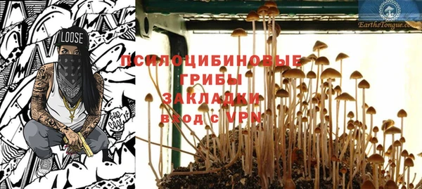 прущие грибы Бугульма