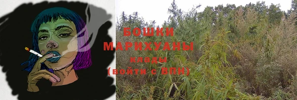 прущие грибы Бугульма
