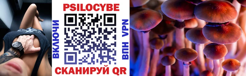 Купить закладки Велиж Псилоцибиновые грибы Psilocybine cubensis