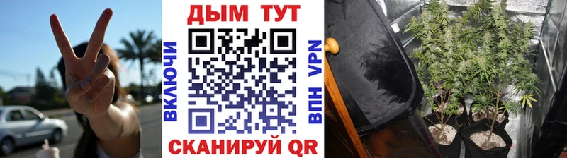 Купить  Велиж  Марихуана марихуана 